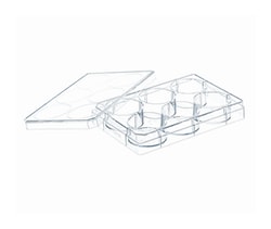 Multiwell Plate 6-Wellplate