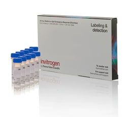 Pipet NEO Multichannel 8x20